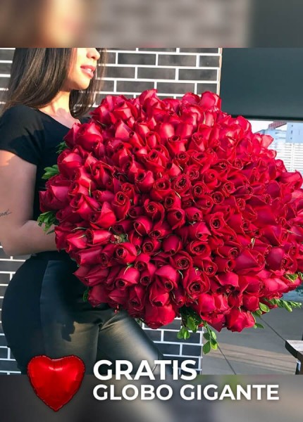 Bouquet Extra Grande 300 Rosas Premium