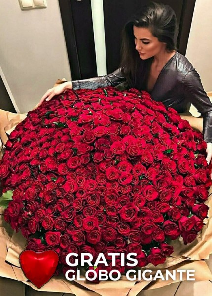 Sorprendente Bouquet 500 Rosas Premium