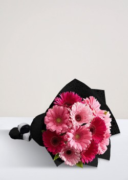 Lady | 20 Gerberas