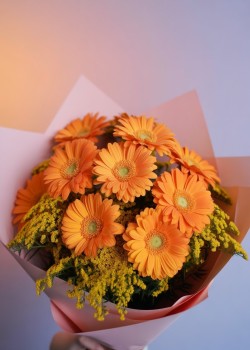 Pumpkin | 10 gerberas naranjas PENDIENTE