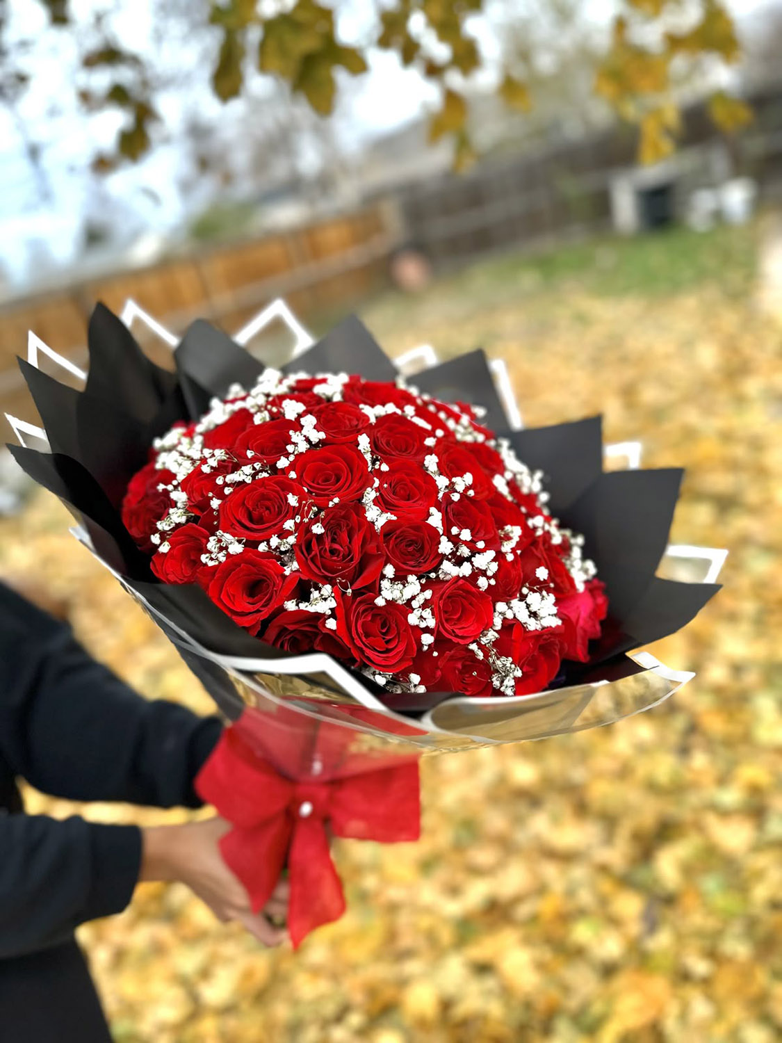 Gloria | 100 Rosas NAVIDEÑO