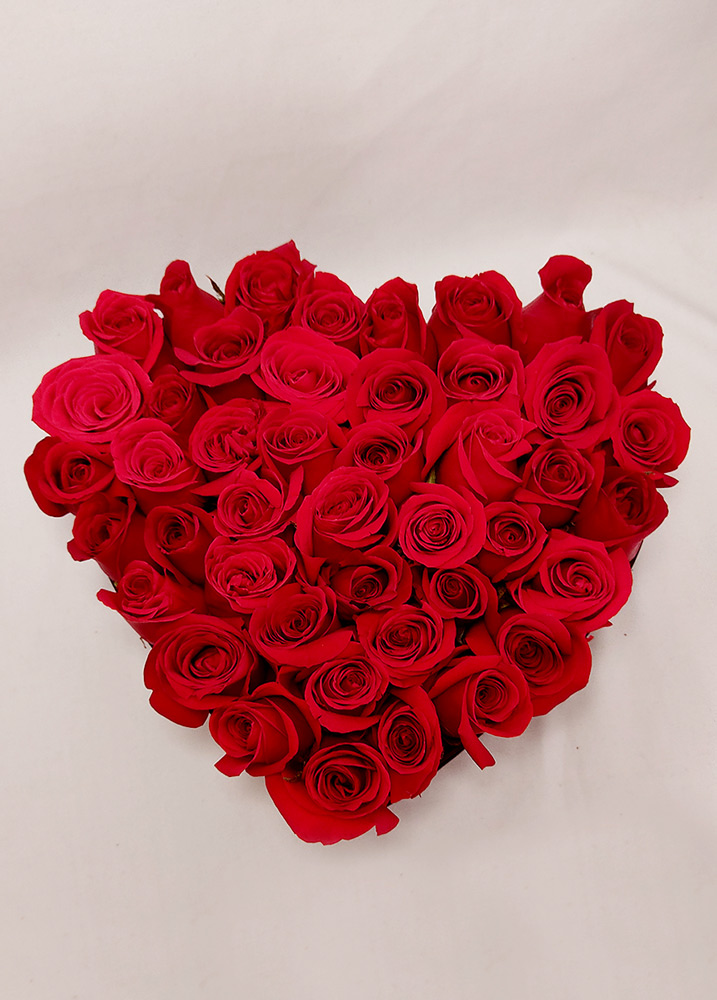 Corazón 50 rosas