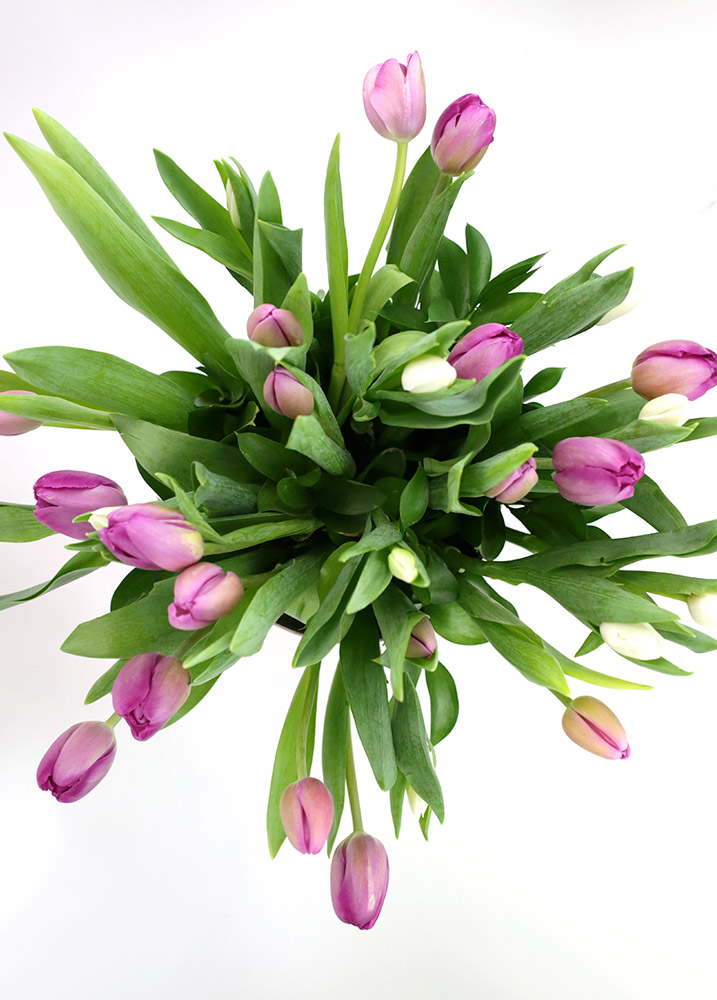 Tus besos | 30 tulipanes