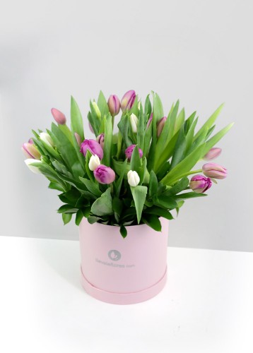 Tus besos | 30 tulipanes