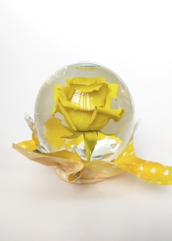 Rosa Eterna Amarilla