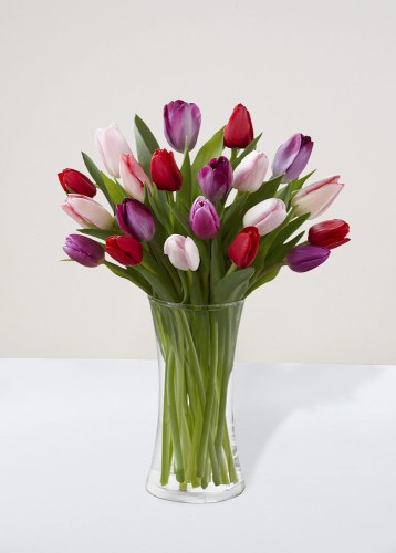 Hermosura | 30 tulipanes