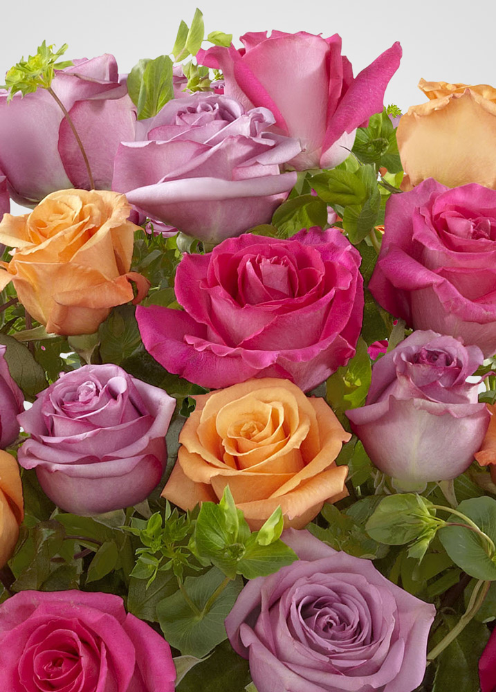 Amor Incondicional | 36 Rosas bienvenida primavera