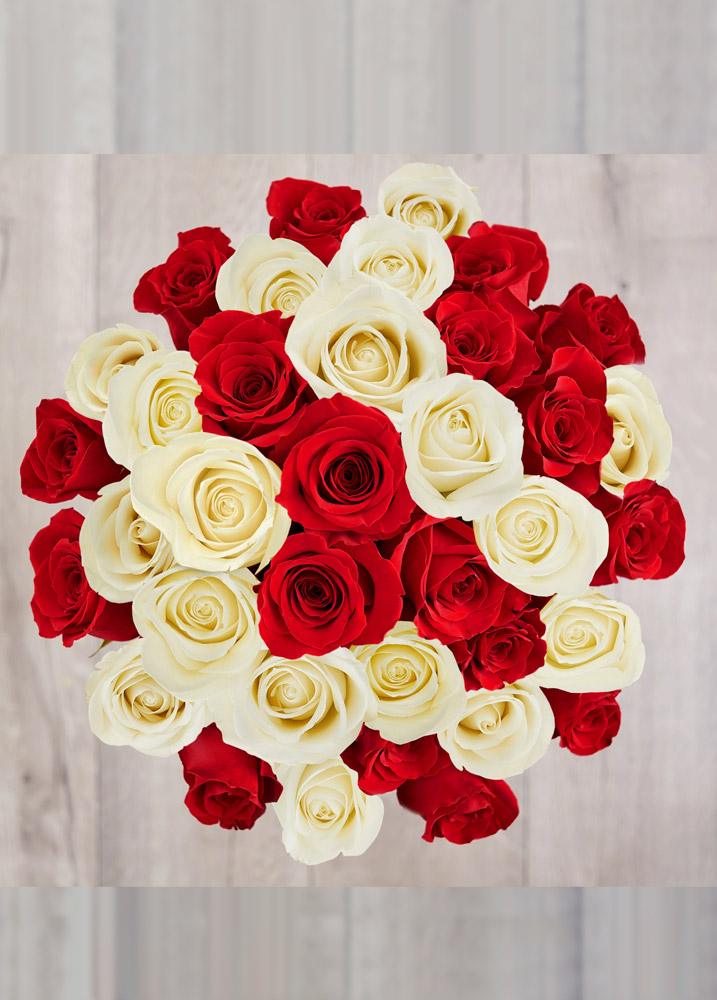 El mejor amor | 50 Rosas