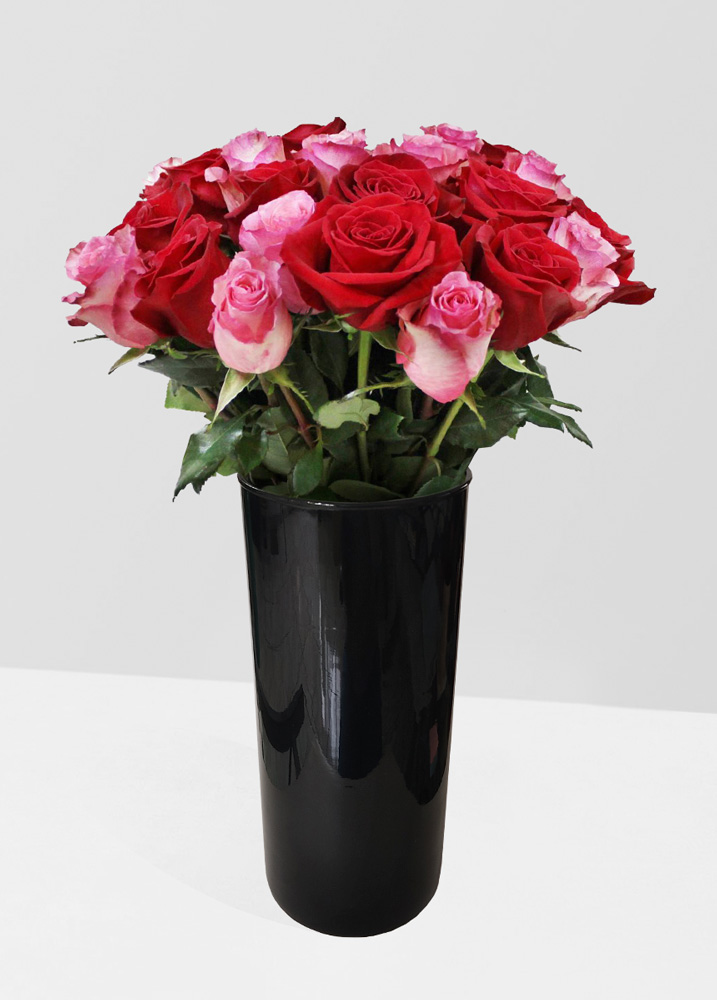 Fancy | 24 Rosas