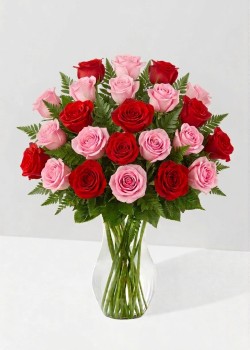 Fancy | 24 Rosas combinadas