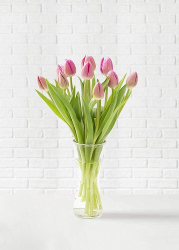 Kisses | 10 Tulipanes