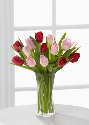 Amor Amor | 20 tulipanes