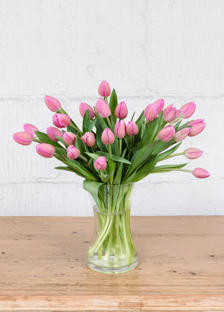 Algodón de azúcar | 30 tulipanes
